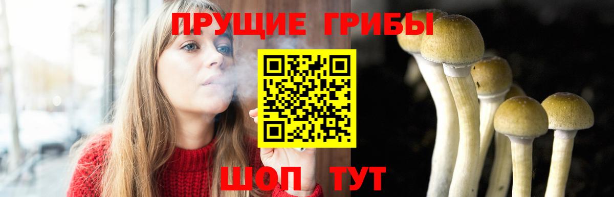 Чайковский  Галлюциногенные грибы мицелий  Псилоцибиновые грибы MAGIC MUSHROOMS  Вход с VPN 